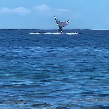 Moorea Temae Bungalow Lory Bord De Mer Kültér fotó