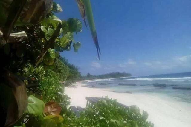 Moorea Temae Bungalow Lory Bord De Mer Kültér fotó